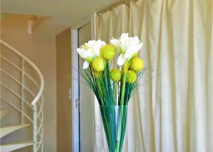 Apartman Bel Proche Plage, Climatise, Parking Securise - Fr-1-226-427 *