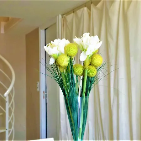 Apartment Bel Proche Plage, Climatise, Parking Securise - Fr-1-226-427 *