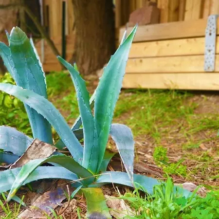 Bel Proche Plage, Climatise, Parking Securise - Fr-1-226-427