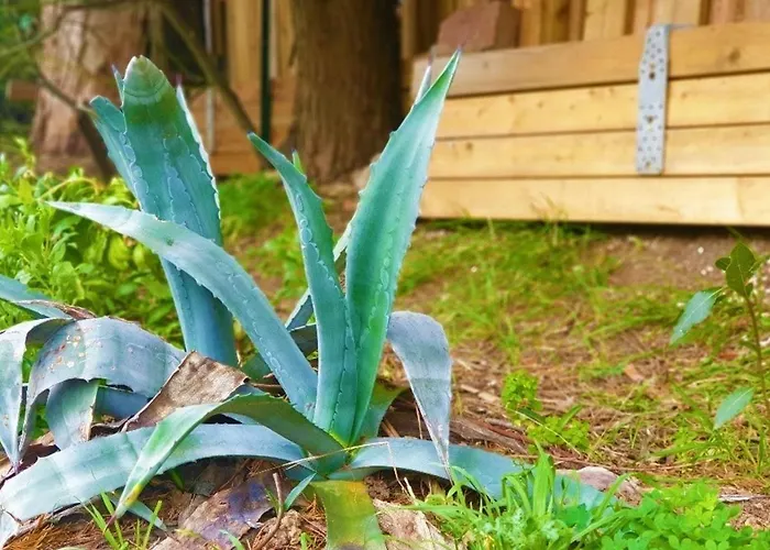 Bel Proche Plage, Climatise, Parking Securise - Fr-1-226-427